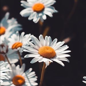 Meet your Posher, Tori